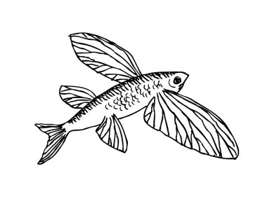 El çekilmiş gıda maddeleri - deniz gıda menü resimleri - vektör