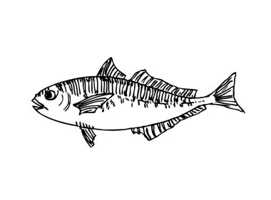 El çekilmiş gıda maddeleri - deniz gıda menü resimleri - vektör