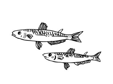 El çekilmiş gıda maddeleri - deniz gıda menü resimleri - vektör