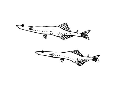 El çekilmiş gıda maddeleri - deniz gıda menü resimleri - vektör