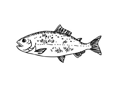 El çekilmiş gıda maddeleri - deniz gıda menü resimleri - vektör