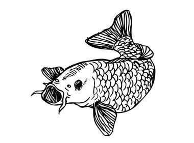 El çekilmiş gıda maddeleri - deniz gıda menü resimleri - vektör