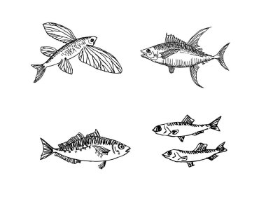 El çekilmiş gıda maddeleri - deniz gıda menü resimleri - vektör