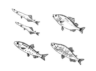 El çekilmiş gıda maddeleri - deniz gıda menü resimleri - vektör