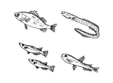 El çekilmiş gıda maddeleri - deniz gıda menü resimleri - vektör