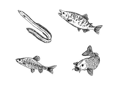 El çekilmiş gıda maddeleri - deniz gıda menü resimleri - vektör