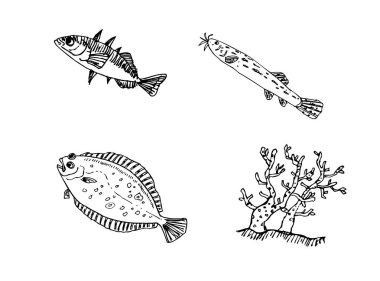 El çekilmiş gıda maddeleri - deniz gıda menü resimleri - vektör