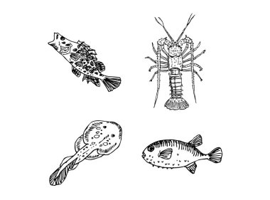 El çekilmiş gıda maddeleri - deniz gıda menü resimleri - vektör