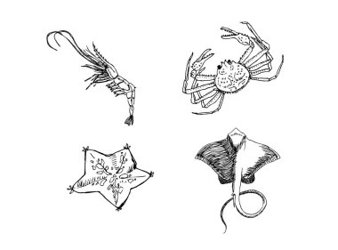 El çekilmiş gıda maddeleri - deniz gıda menü resimleri - vektör