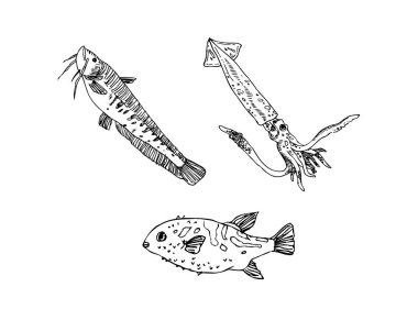 El çekilmiş gıda maddeleri - deniz gıda menü resimleri - vektör