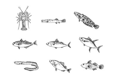 El çekilmiş gıda maddeleri - deniz gıda menü resimleri - vektör