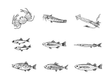 El çekilmiş gıda maddeleri - deniz gıda menü resimleri - vektör