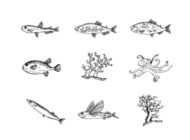 El çekilmiş gıda maddeleri - deniz gıda menü resimleri - vektör