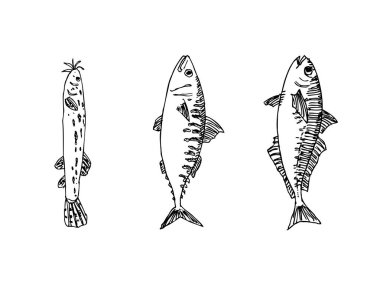 El çekilmiş gıda maddeleri - deniz gıda menü resimleri - vektör