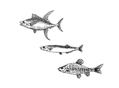 El çekilmiş gıda maddeleri - deniz gıda menü resimleri - vektör