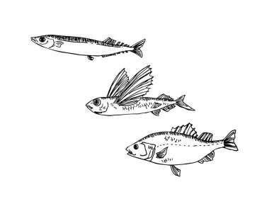 El çekilmiş gıda maddeleri - deniz gıda menü resimleri - vektör