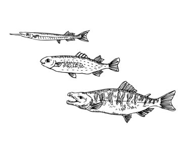El çekilmiş gıda maddeleri - deniz gıda menü resimleri - vektör