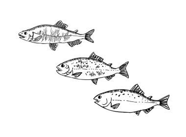 El çekilmiş gıda maddeleri - deniz gıda menü resimleri - vektör