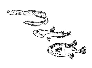 El çekilmiş gıda maddeleri - deniz gıda menü resimleri - vektör