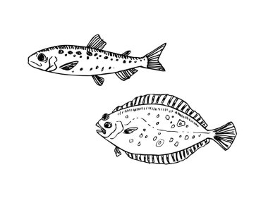 El çekilmiş gıda maddeleri - deniz gıda menü resimleri - vektör