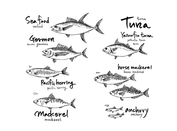Handgezeichnete Lebensmittelzutaten Meeresfrüchte Menü Illustrationen Vektor — Stockvektor