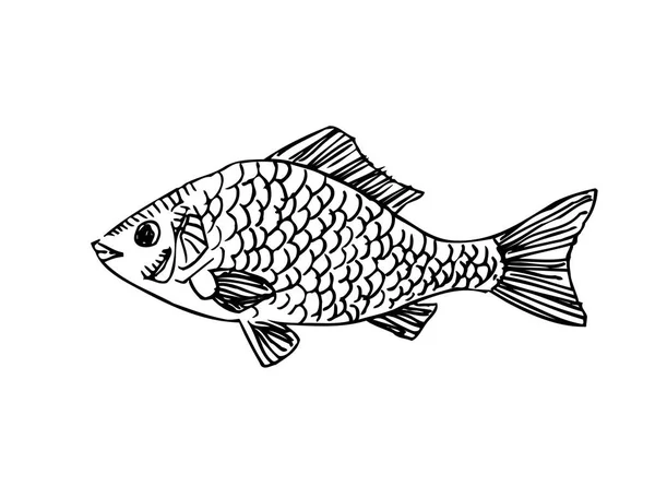 Handgezeichnete Lebensmittelzutaten Meeresfrüchte Menü Illustrationen Vektor — Stockvektor