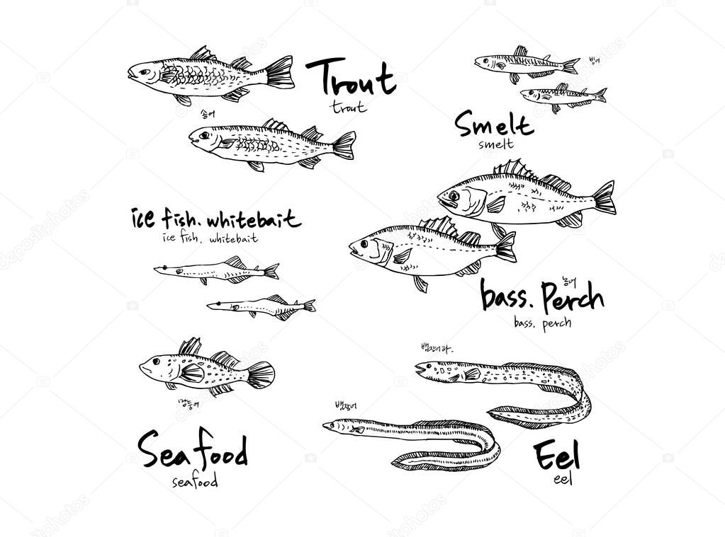 Hand drawn food ingredients - sea food menu illustrations - vector