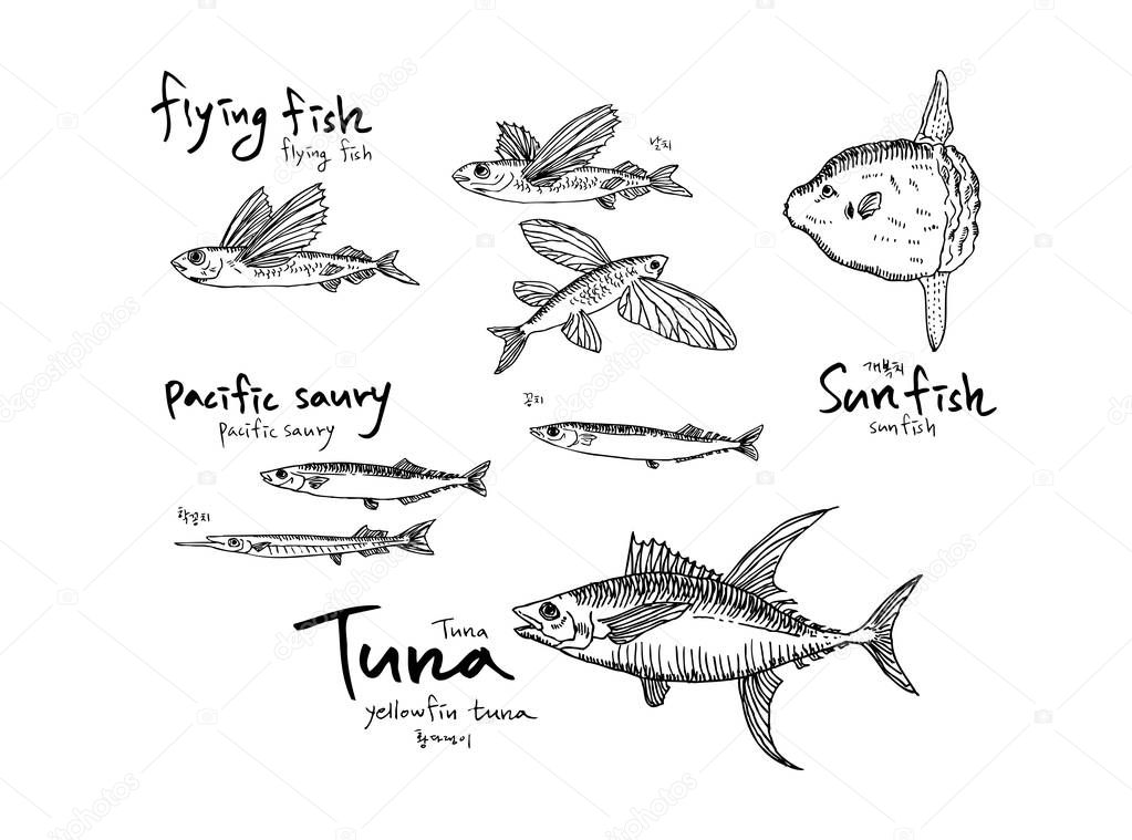 Hand drawn food ingredients - sea food menu illustrations - vector