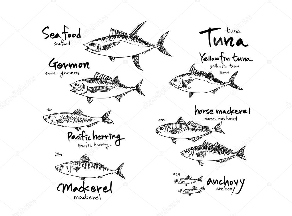 Hand drawn food ingredients - sea food menu illustrations - vector