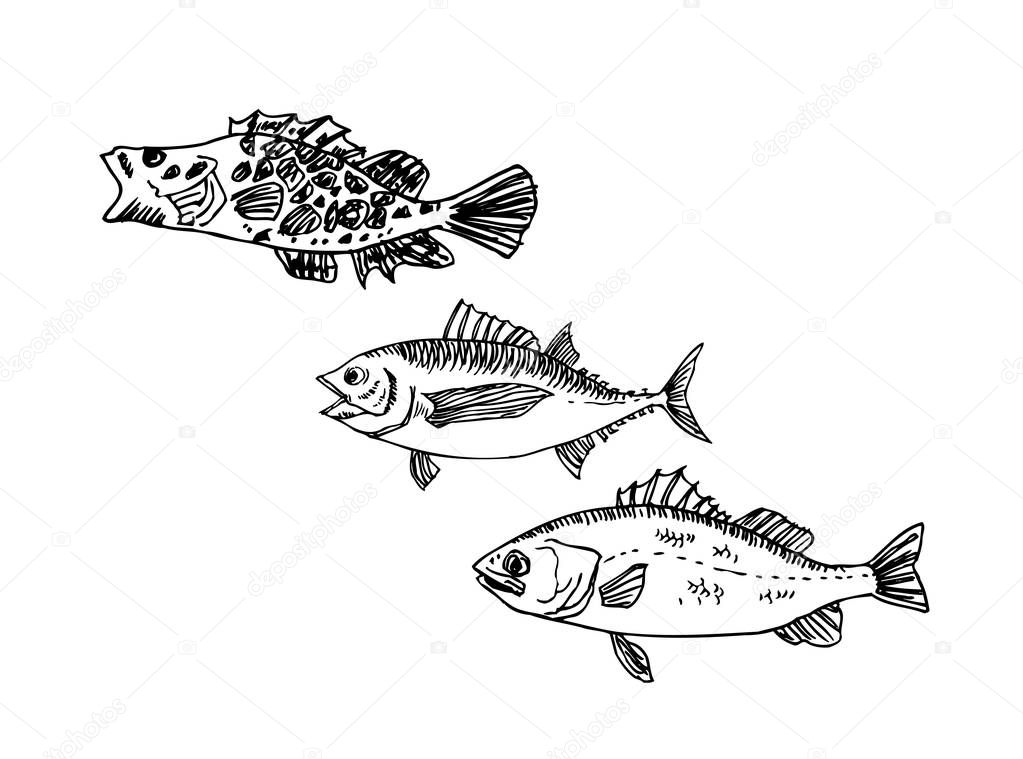 Hand drawn food ingredients - sea food menu illustrations - vector