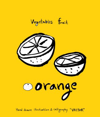 El çekilmiş gıda maddeleri - sebze ve meyve resimleri - vektör