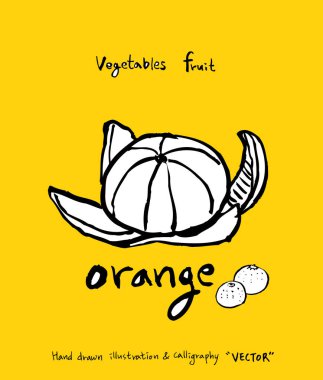 El çekilmiş gıda maddeleri - sebze ve meyve resimleri - vektör