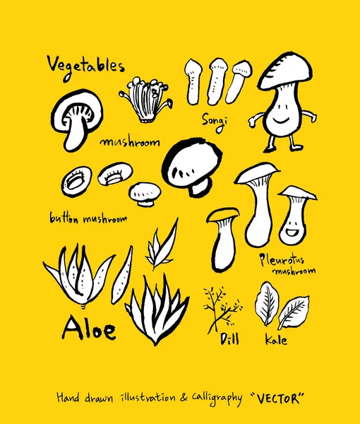 El çekilmiş gıda maddeleri - sebze ve meyve resimleri - vektör