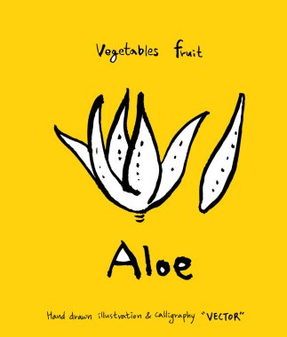 El çekilmiş gıda maddeleri - sebze ve meyve resimleri - vektör