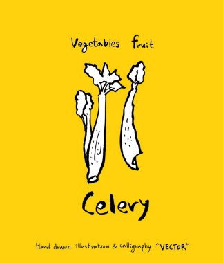 El çekilmiş gıda maddeleri - sebze ve meyve resimleri - vektör