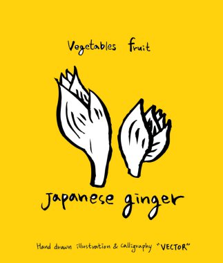 El çekilmiş gıda maddeleri - sebze ve meyve resimleri - vektör