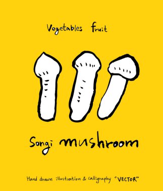 El çekilmiş gıda maddeleri - sebze ve meyve resimleri - vektör