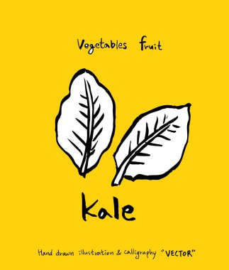 El çekilmiş gıda maddeleri - sebze ve meyve resimleri - vektör