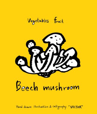 El çekilmiş gıda maddeleri - sebze ve meyve resimleri - vektör