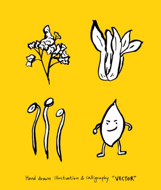 Sebze ve meyve resimler / el çekilmiş gıda maddeleri - vektör