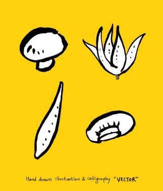 Sebze ve meyve resimler / el çekilmiş gıda maddeleri - vektör