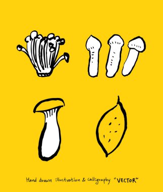 Sebze ve meyve resimler / el çekilmiş gıda maddeleri - vektör