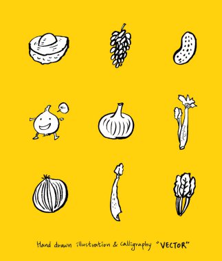 Sebze ve meyve resimler / el çekilmiş gıda maddeleri - vektör