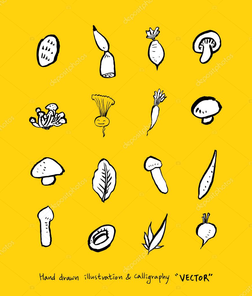 Hand drawn food ingredients - vegetable and fruit illustrations - vector