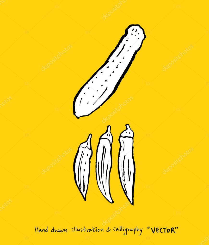 Hand drawn food ingredients - vegetable and fruit illustrations - vector