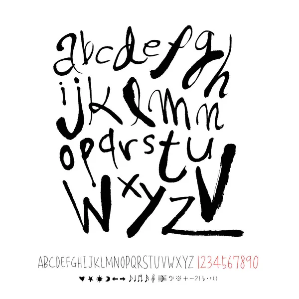 Vector Fonts Handwritten Calligraphy — Stock Vector