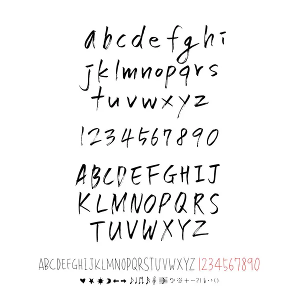 Vector Fonts Handwritten Calligraphy — Stock Vector