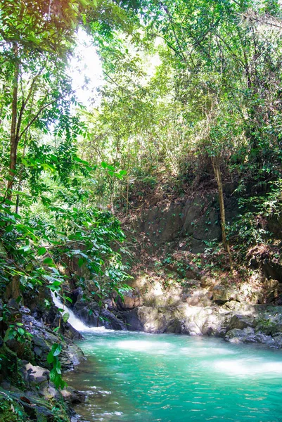 Amazing small hidden waterfall on a hike through a forest. Wonderful autumn scene with fern, small stream and water falling from the rocks. Quiet, clean and beautiful. Fresh outdoor air.