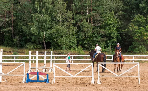 Dressurreiterin Auf Braunem Pferd Galoppiert Feld — Stockfoto