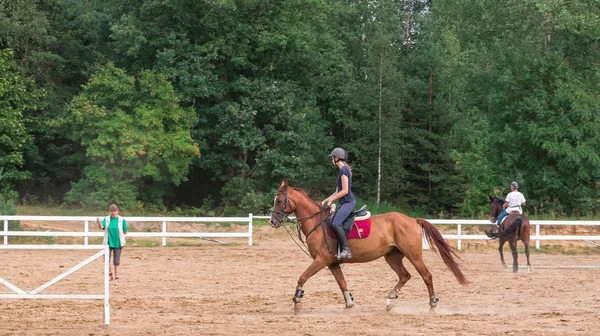 Cavalier Dressage Sur Cheval Baie Galopant Dans Champ — Photo